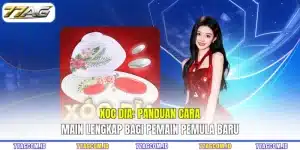 Xoc Dia: Panduan Cara Main Lengkap Bagi Pemain Pemula Baru